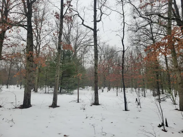 $115,000 | 2155 East County Line Road, Free Soil, MI 49411