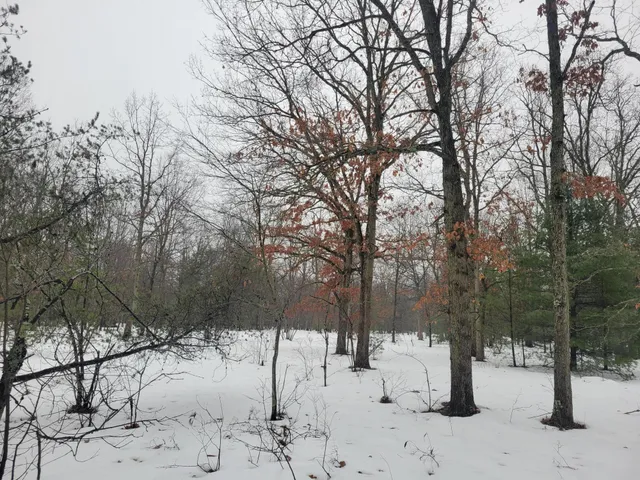 $115,000 | 2155 East County Line Road, Free Soil, MI 49411