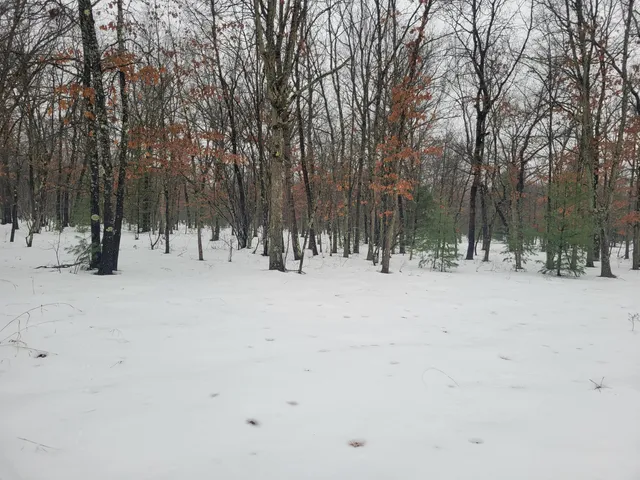 $115,000 | 2155 East County Line Road, Free Soil, MI 49411