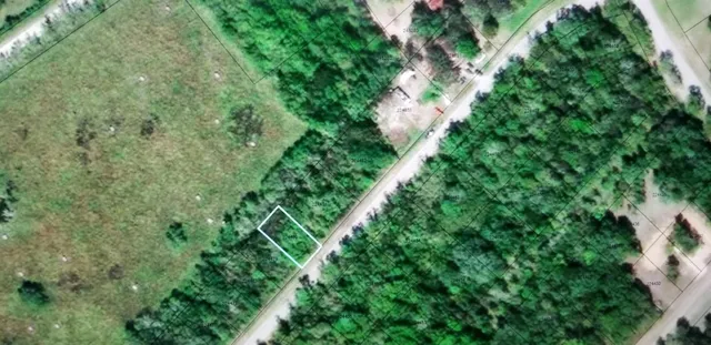 $9,000 | Tbd North Belt Drive, Brazoria, TX 77422