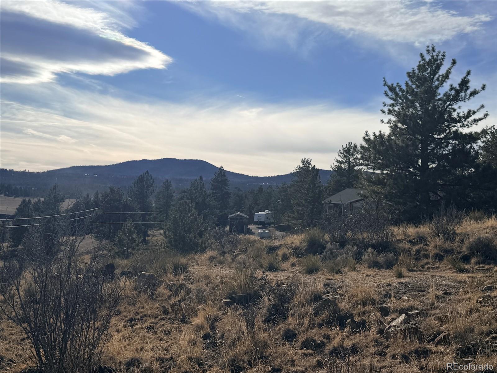 729 Bridle Path Hartsel, CO 80449 - Photo 13 of 24 a view of mountain and tree