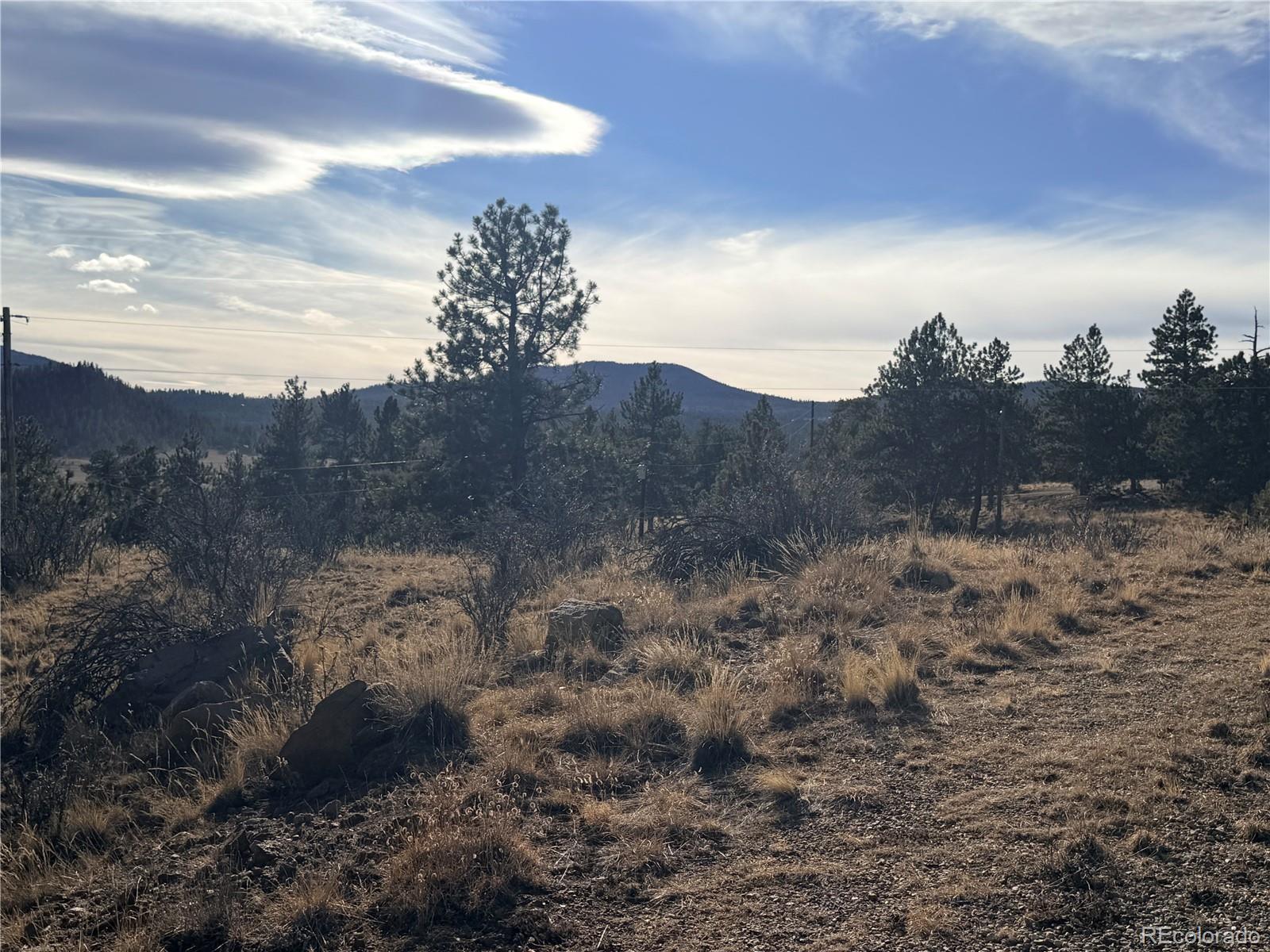 729 Bridle Path Hartsel, CO 80449 - Photo 17 of 24 a view of a yard