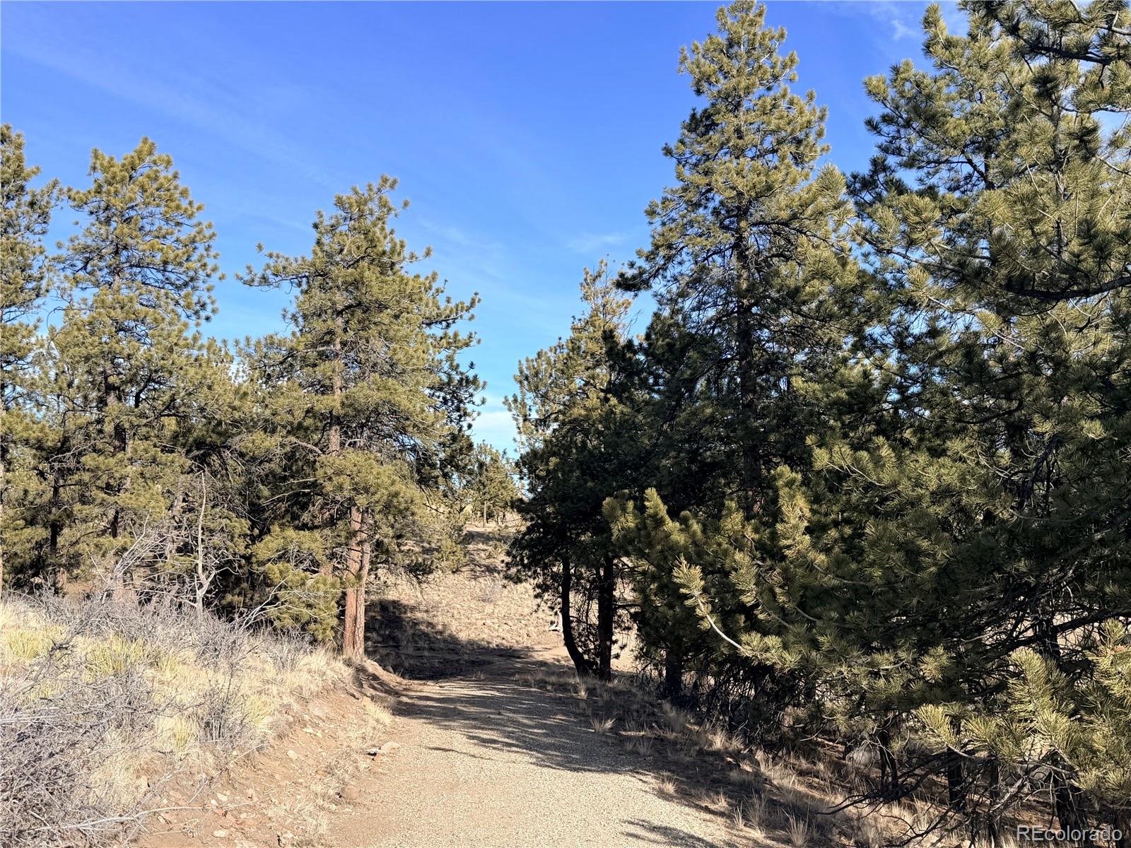 729 Bridle Path Hartsel, CO 80449 - Photo 18 of 24 a view of a snow in a yard