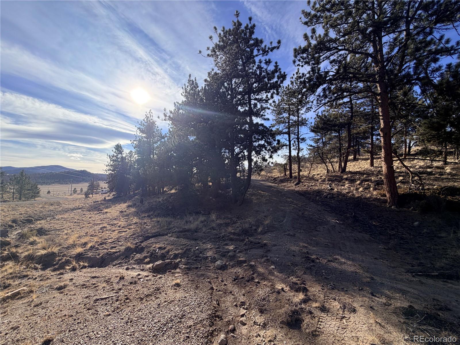 729 Bridle Path Hartsel, CO 80449 - Photo 21 of 24 a view of a yard with a tree