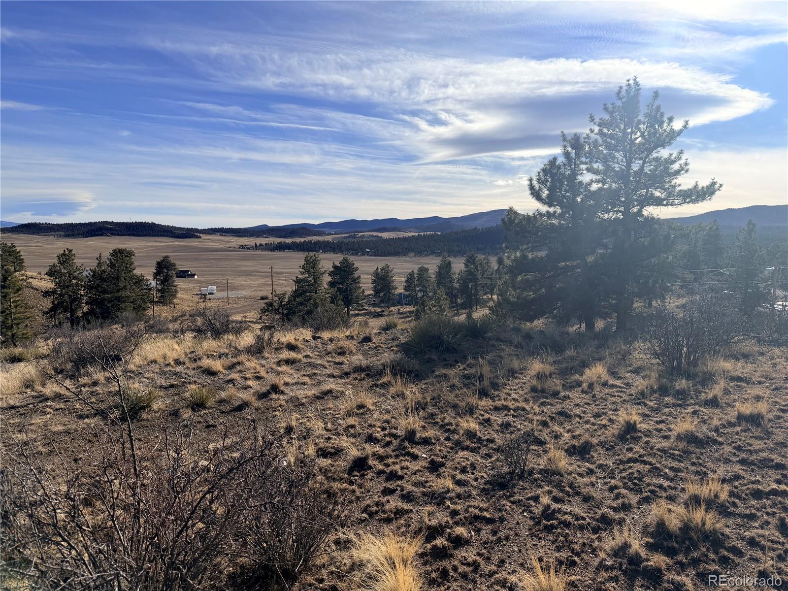 729 Bridle Path Hartsel, CO 80449 - Photo 4 of 24 a view of a yard