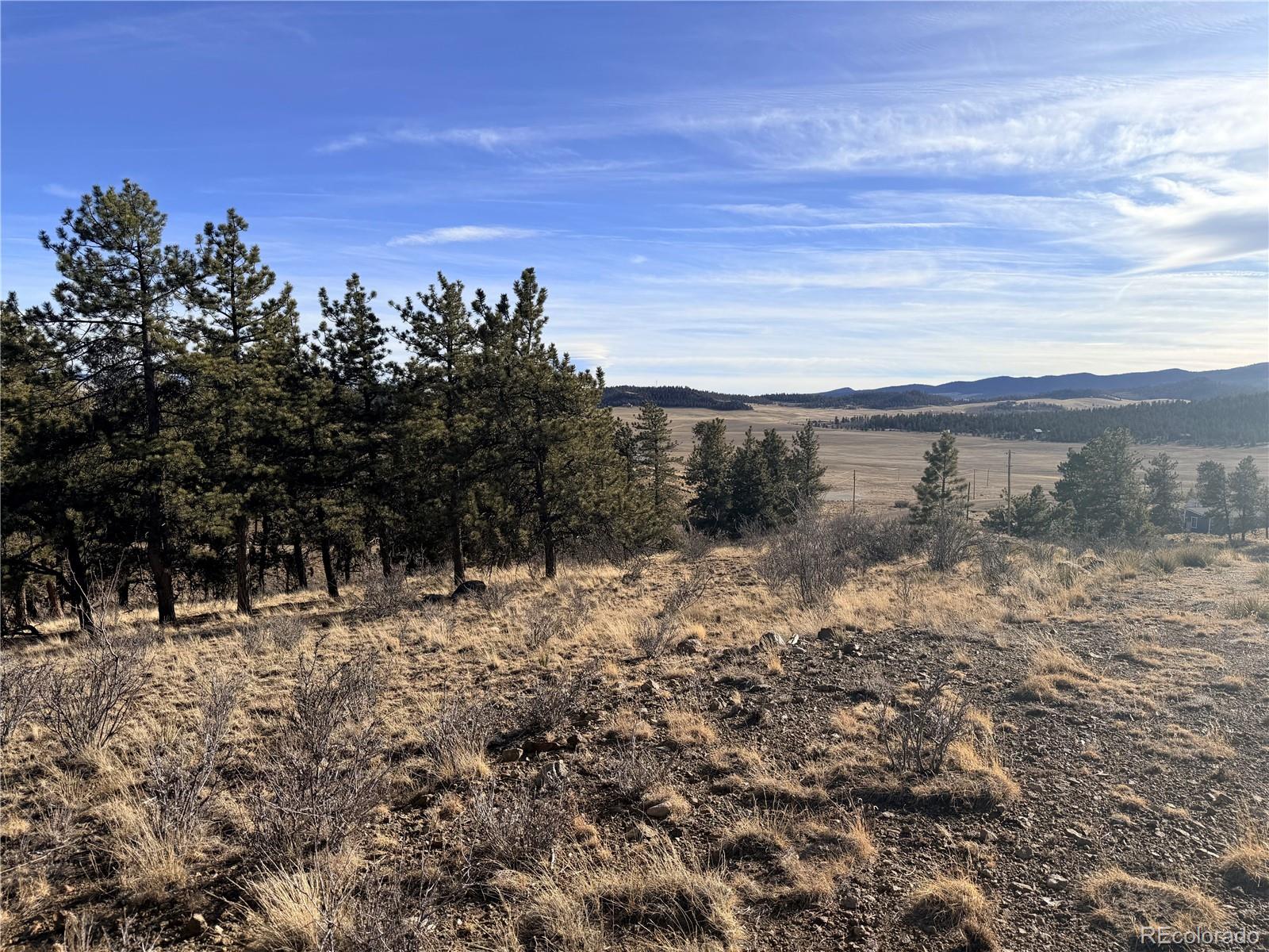 729 Bridle Path Hartsel, CO 80449 - Photo 5 of 24 a view of a yard with a mountain