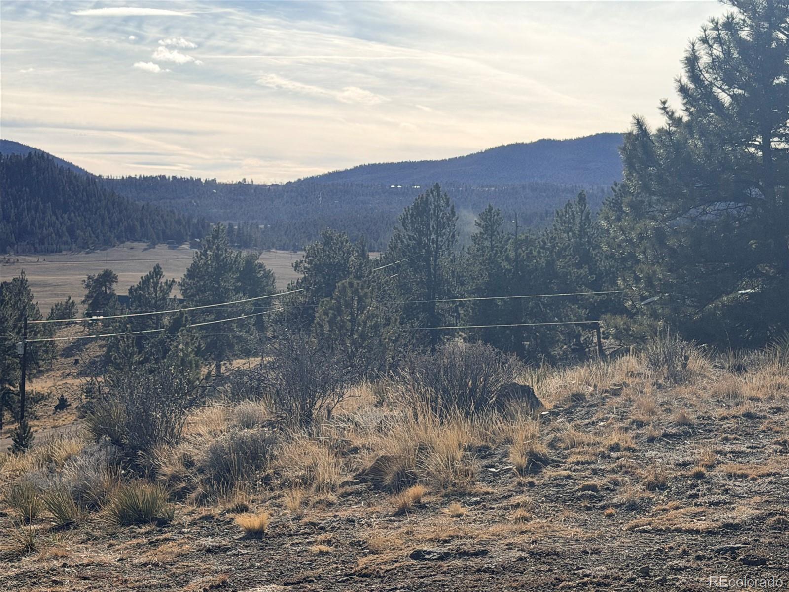 729 Bridle Path Hartsel, CO 80449 - Photo 8 of 24 a view of a lot of a lake in a forest