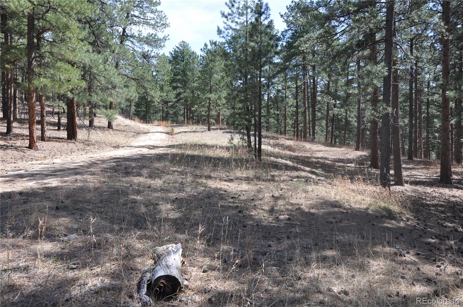 Wood Sorrel Road Larkspur, CO 80118 - Photo 5 of 10 a view of a yard with a tree