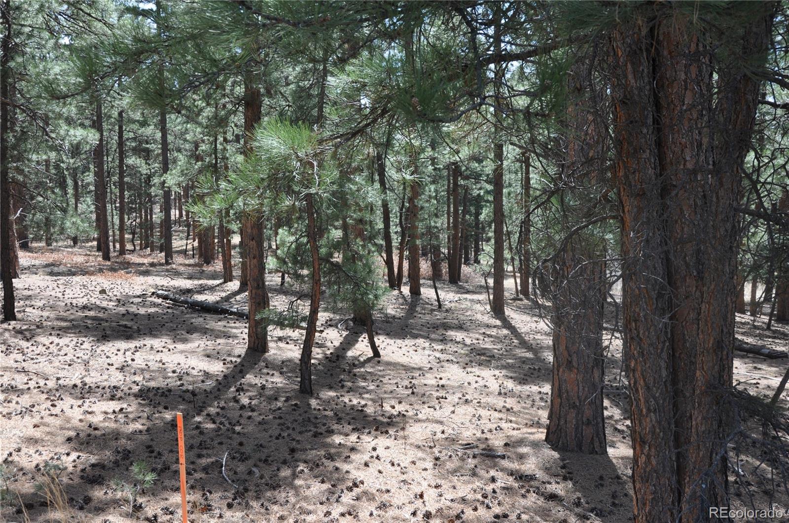 Wood Sorrel Road Larkspur, CO 80118 - Photo 10 of 10 a view of a yard with plants and trees