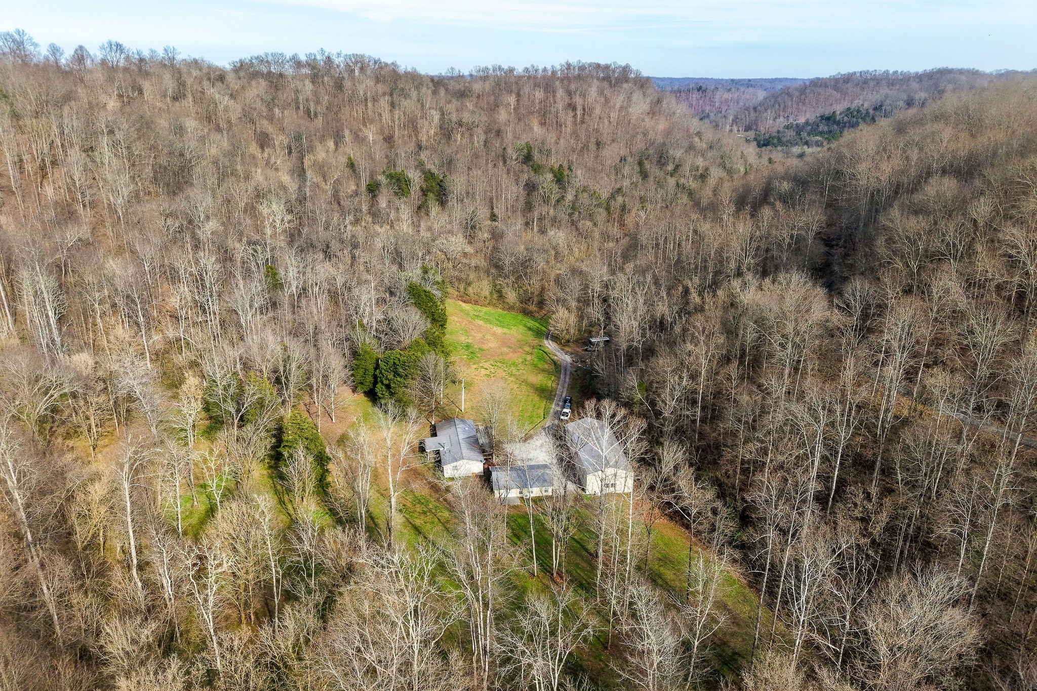 938 Riley Creek Road Whitleyville, TN 38588 - Photo 5 of 40 a view of a yard with a tree