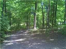 4528 Sears Road Pegram, TN 37143 - Photo 16 of 20 Gallery Image 16