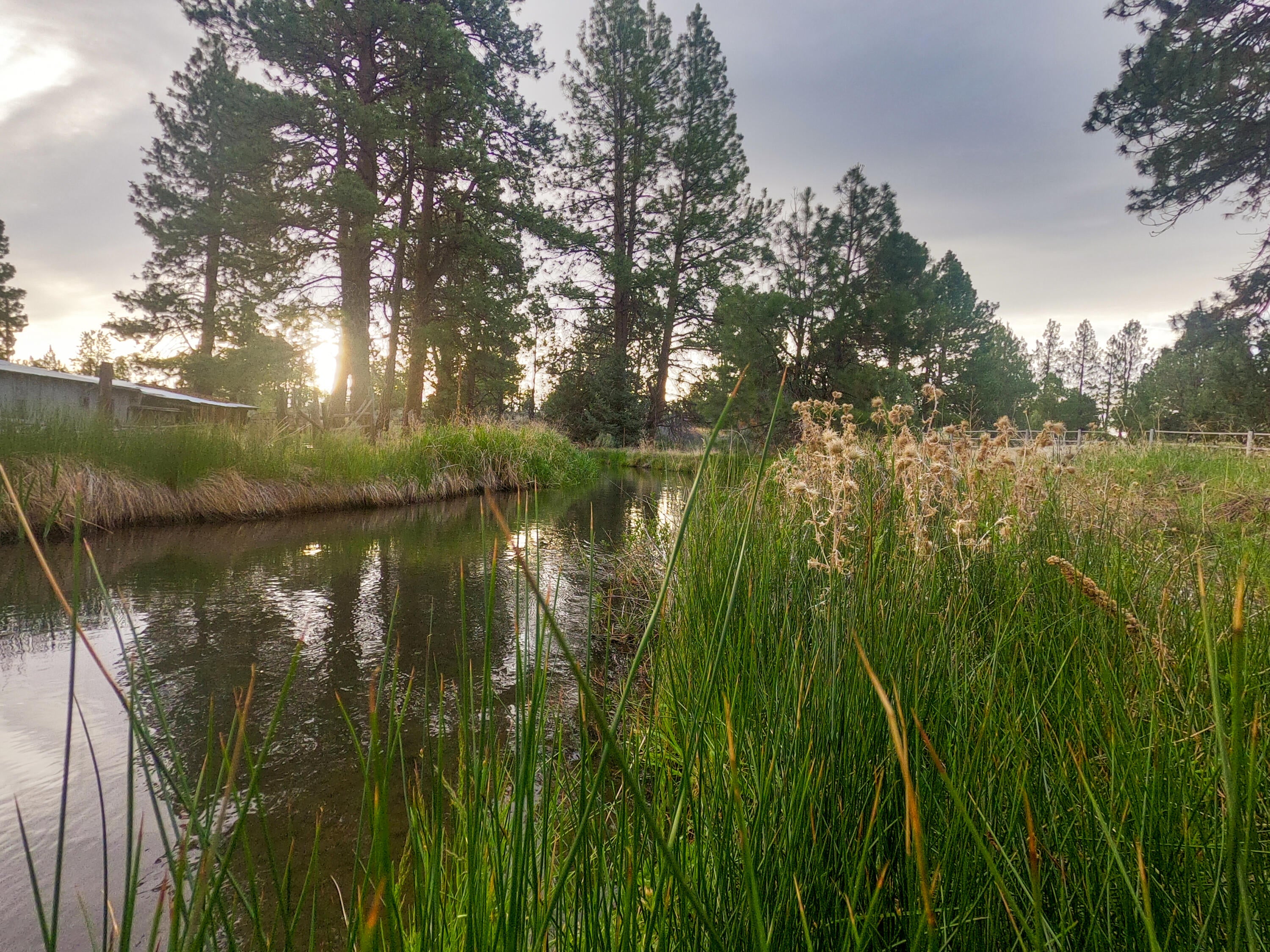 60260 Nighthawk Road Bend, OR 97702 - Photo 40 of 51 39GOPR3561