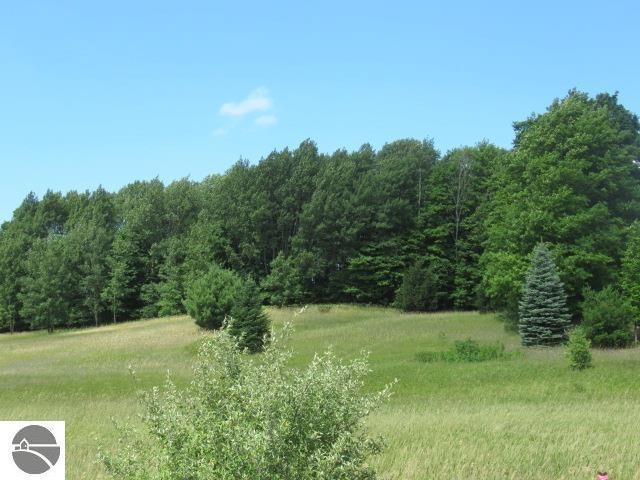 Lot 4 East Lincoln Road Cedar, MI 49621 - Photo 4 of 14