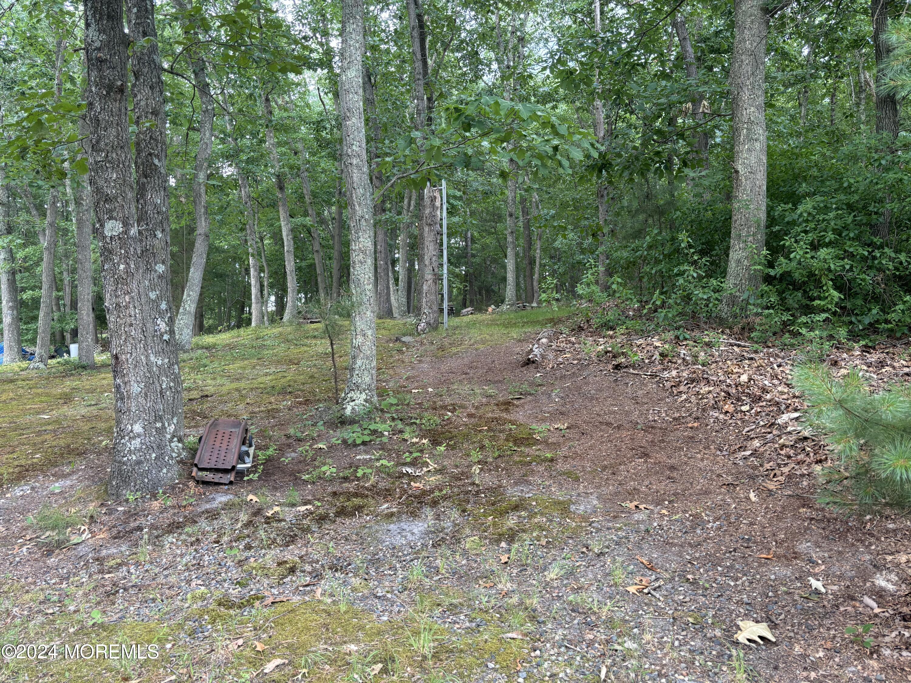 5 Francis Mills Road Freehold, NJ 07728 - Photo 8 of 8 a backyard of a house with lots of green space and deers