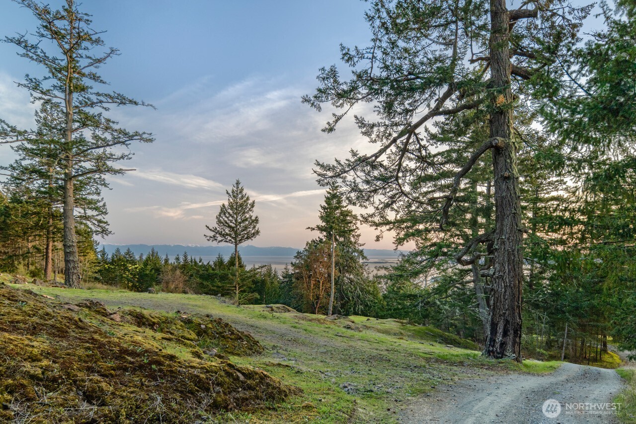 30 Rascal Road Friday Harbor, WA 98250 - Photo 19 of 20