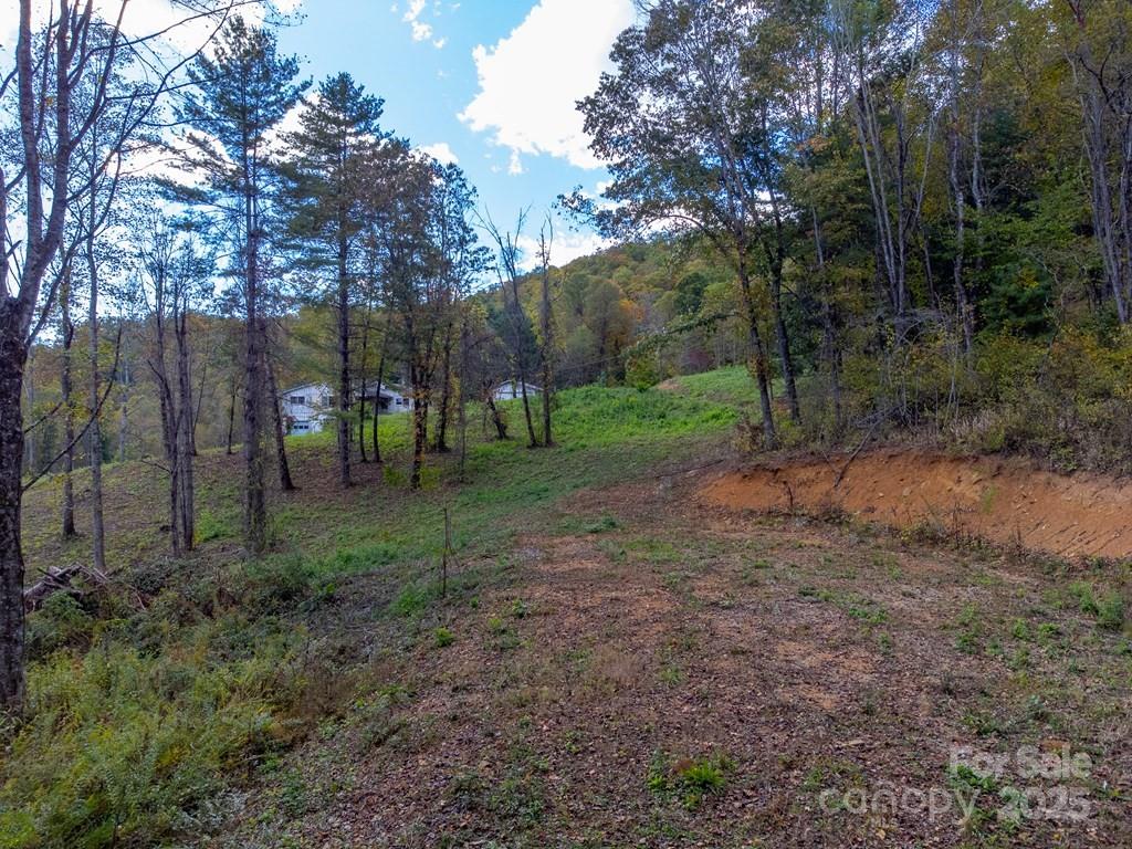 8125 Ellijay Road Franklin, NC 28734 - Photo 11 of 35 a view of a forest with trees