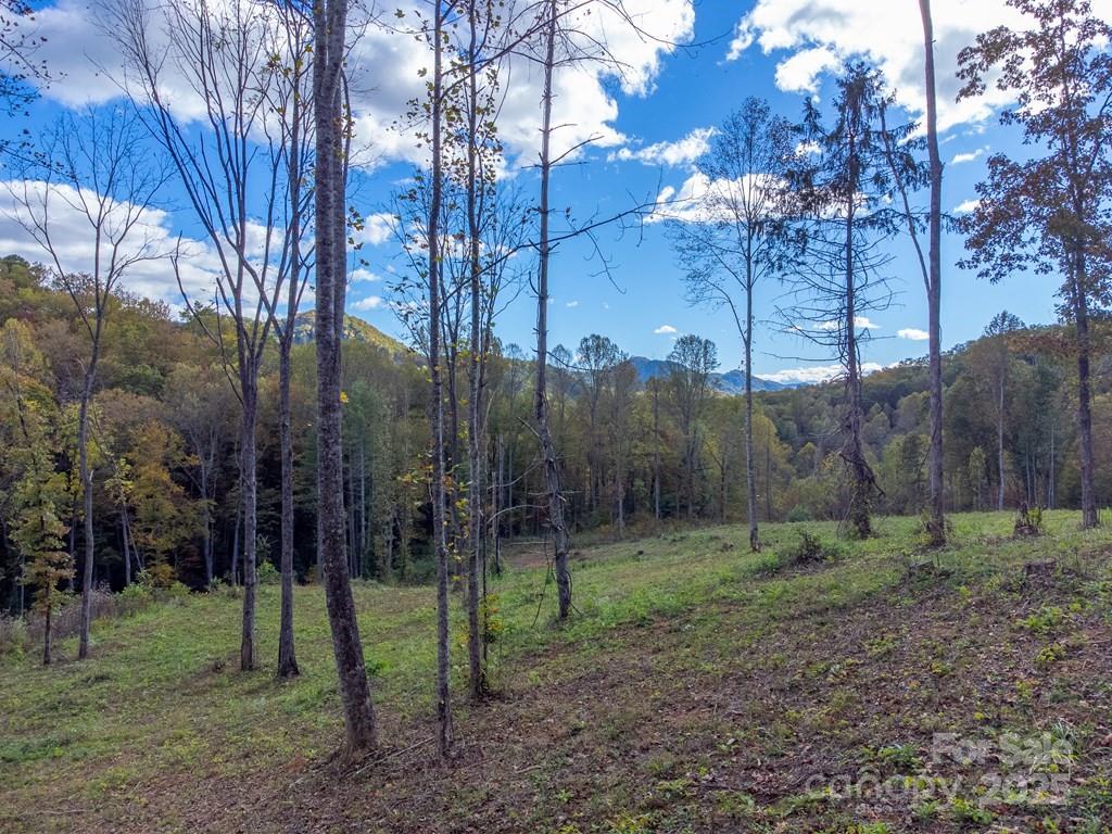 8125 Ellijay Road Franklin, NC 28734 - Photo 12 of 35 a view of a park