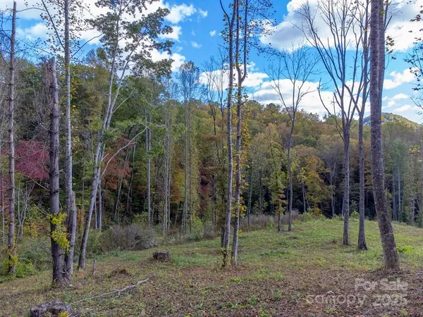 a view of outdoor space with green space