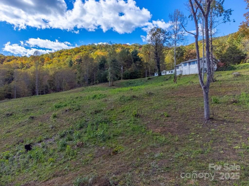 8125 Ellijay Road Franklin, NC 28734 - Photo 18 of 35 a view of a yard with a large trees