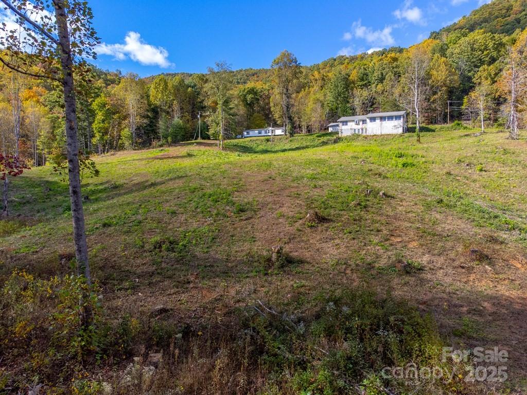 8125 Ellijay Road Franklin, NC 28734 - Photo 19 of 35 a view of a yard with a house