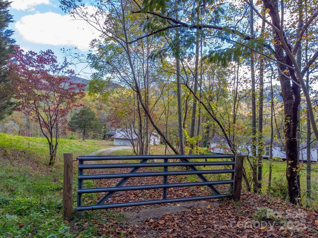 8125 Ellijay Road Franklin, NC 28734 - Photo 2 of 35 a view of bench sitting next to a large tree