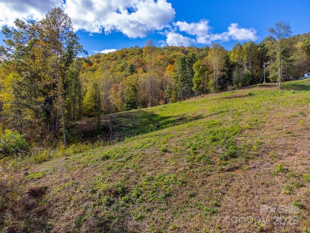 8125 Ellijay Road Franklin, NC 28734 - Photo 21 of 35 a view of a yard with a house