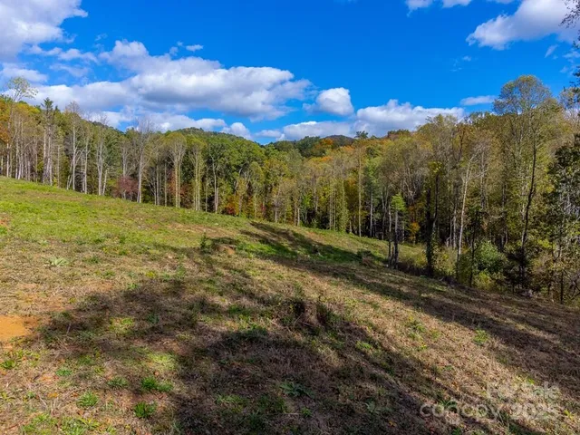 a view of grassy field with mountain
