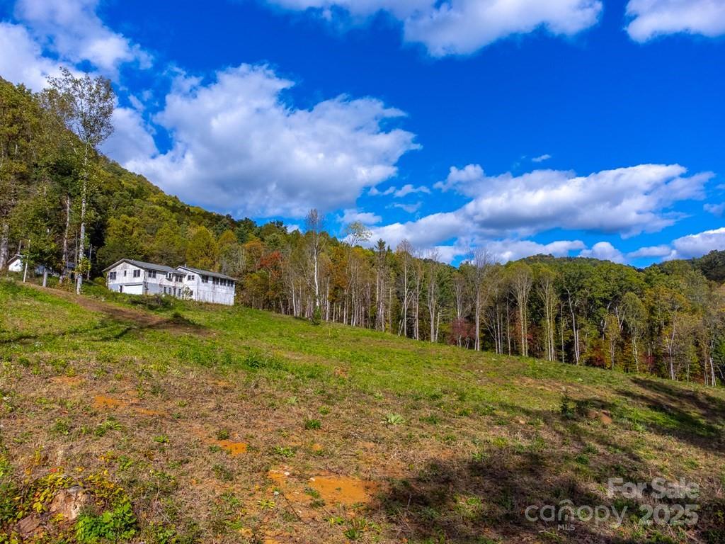 8125 Ellijay Road Franklin, NC 28734 - Photo 24 of 35 a view of grassy field with mountain