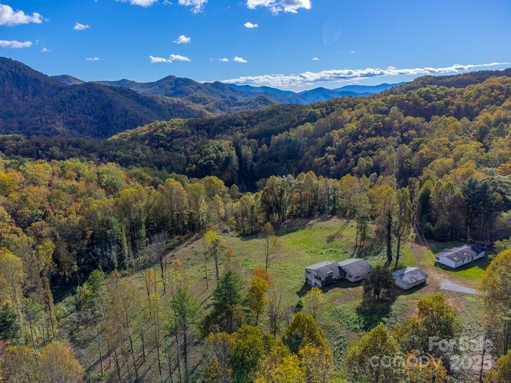 8125 Ellijay Road Franklin, NC 28734 - Photo 27 of 35 a view of a lush green hillside and houses