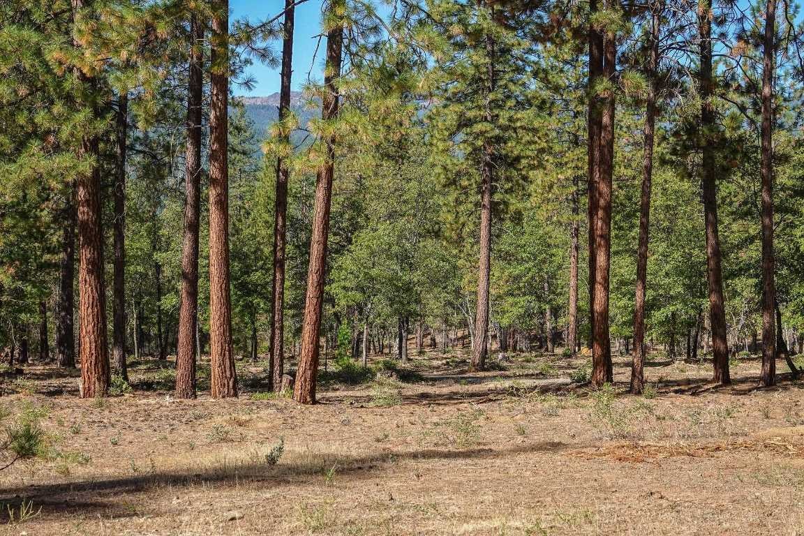 10206 Quartz Valley Road Fort Jones, CA 96032 - Photo 5 of 50 Gallery Image 5