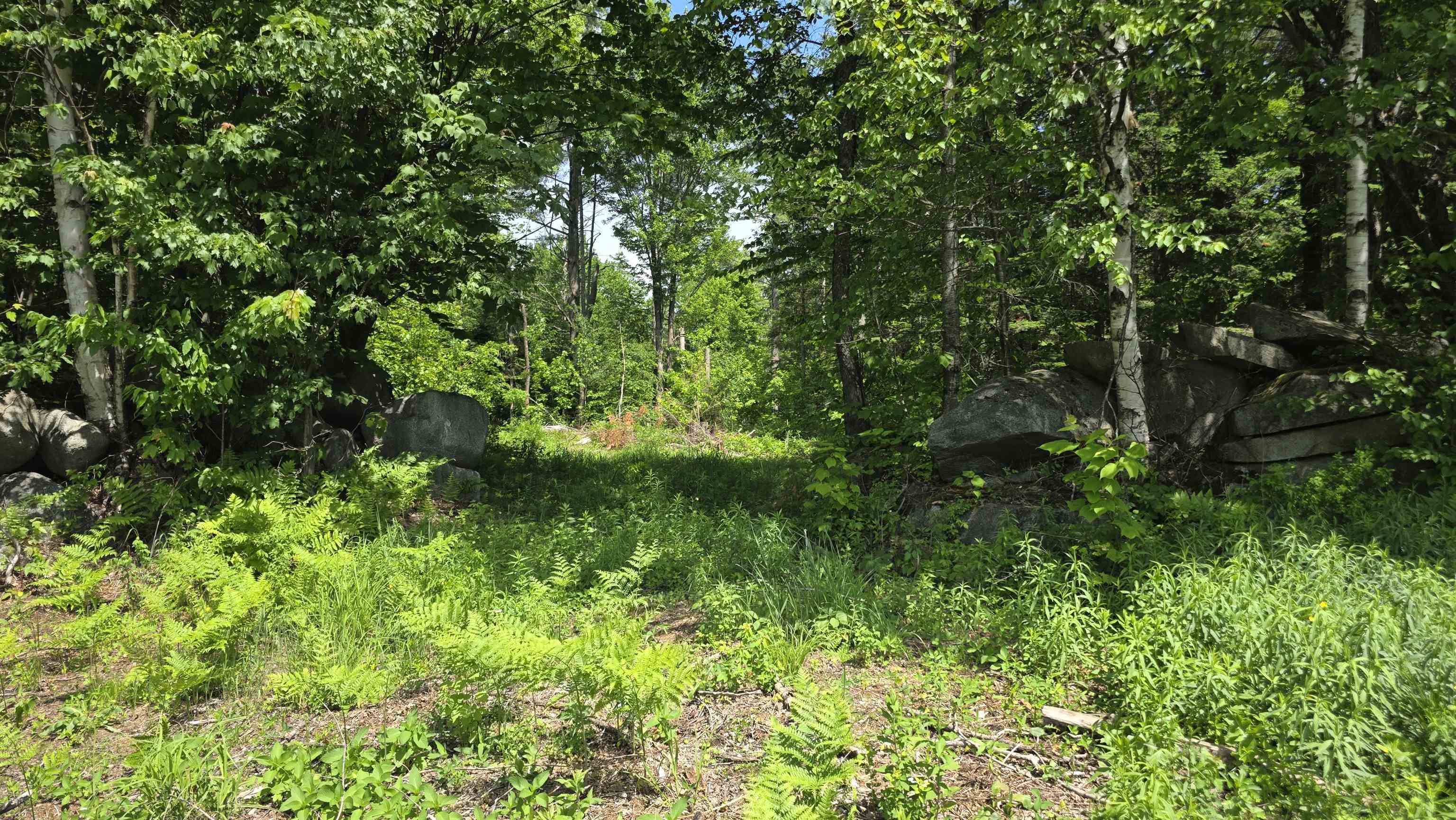 91 Venheim Road, Unit 1 Lunenburg, VT 05906 - Photo 51 of 55