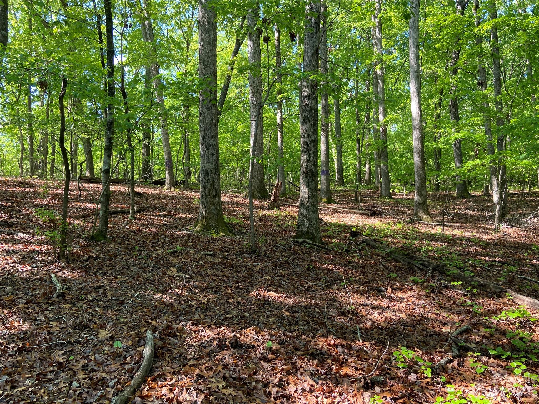 8514 Whitley Road Norwood, NC 28128 - Photo 24 of 25 Gallery Image 24
