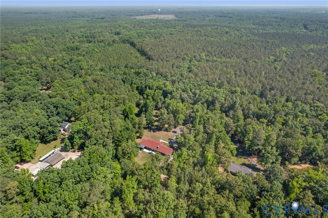 9820 Beaver Bridge Road Chesterfield, VA 23838 - Photo 52 of 54 Extensive treed acreage providing a private settin
