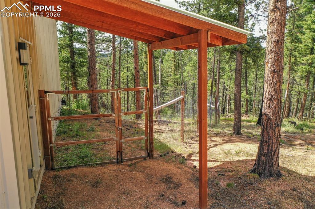 449 Woody Creek Road Divide, CO 80814 - Photo 11 of 20 a view of outdoor space and porch