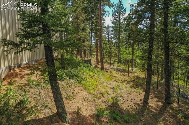 $235,000 | 449 Woody Creek Road, Divide, CO 80814