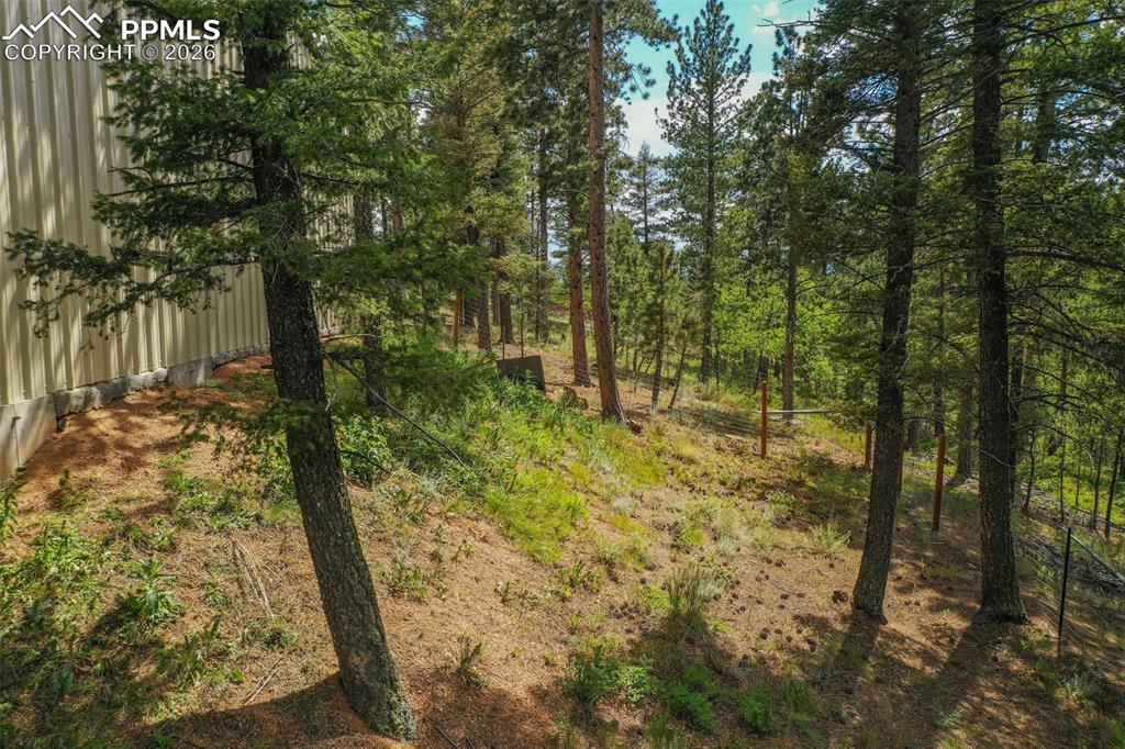 449 Woody Creek Road Divide, CO 80814 - Photo 13 of 20 a view of a yard
