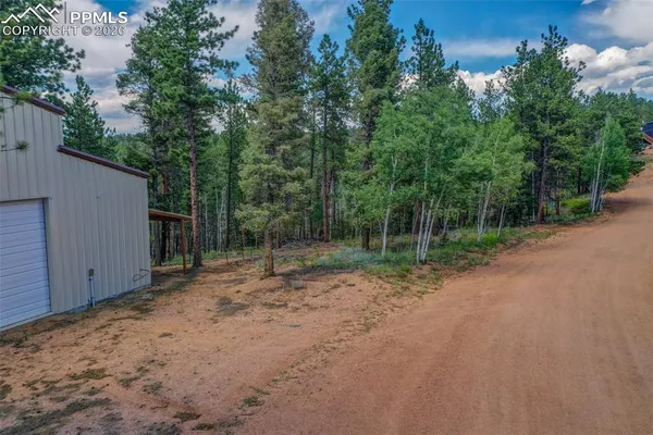 a view of a dirt road with trees in the background