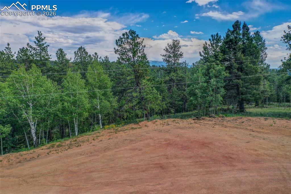 449 Woody Creek Road Divide, CO 80814 - Photo 20 of 20 a view of a dirt road with trees in the background