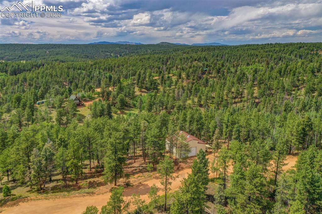 449 Woody Creek Road Divide, CO 80814 - Photo 3 of 20 a view of a big yard with lots of green space and mountain view