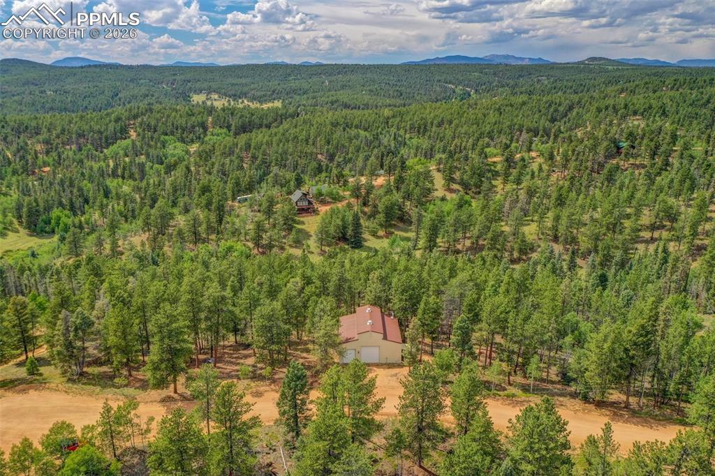 449 Woody Creek Road Divide, CO 80814 - Photo 4 of 20 a view of a yard with a tree