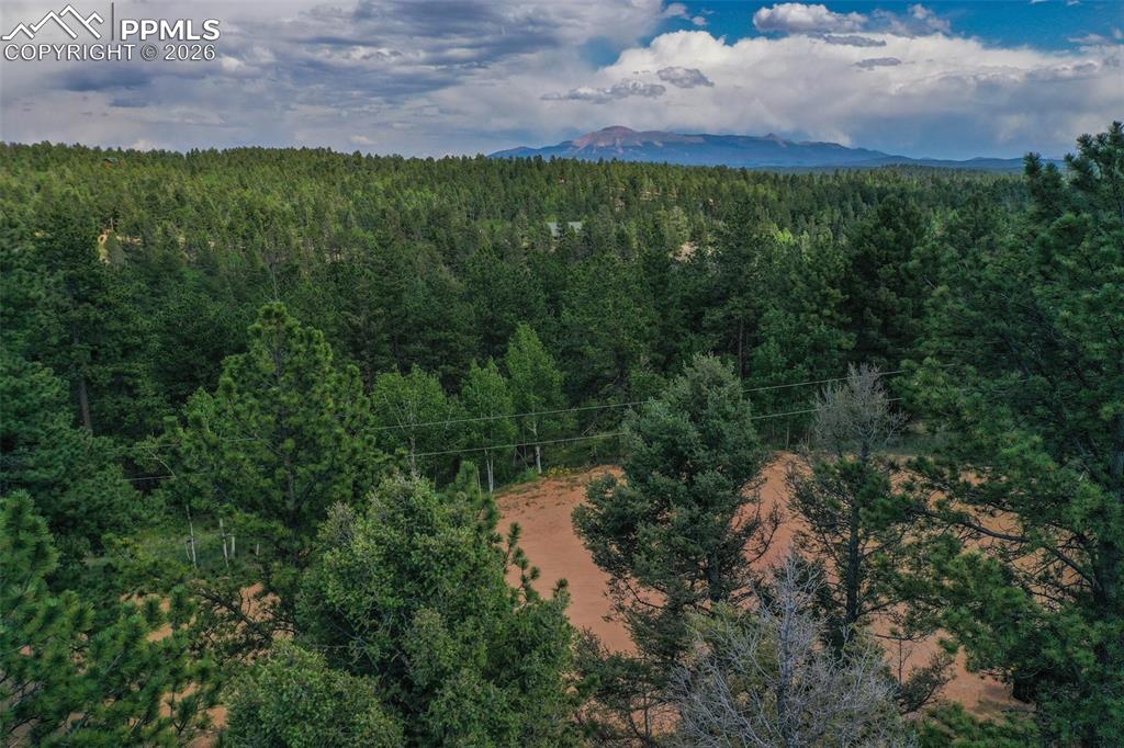 449 Woody Creek Road Divide, CO 80814 - Photo 6 of 20 a view of a back yard