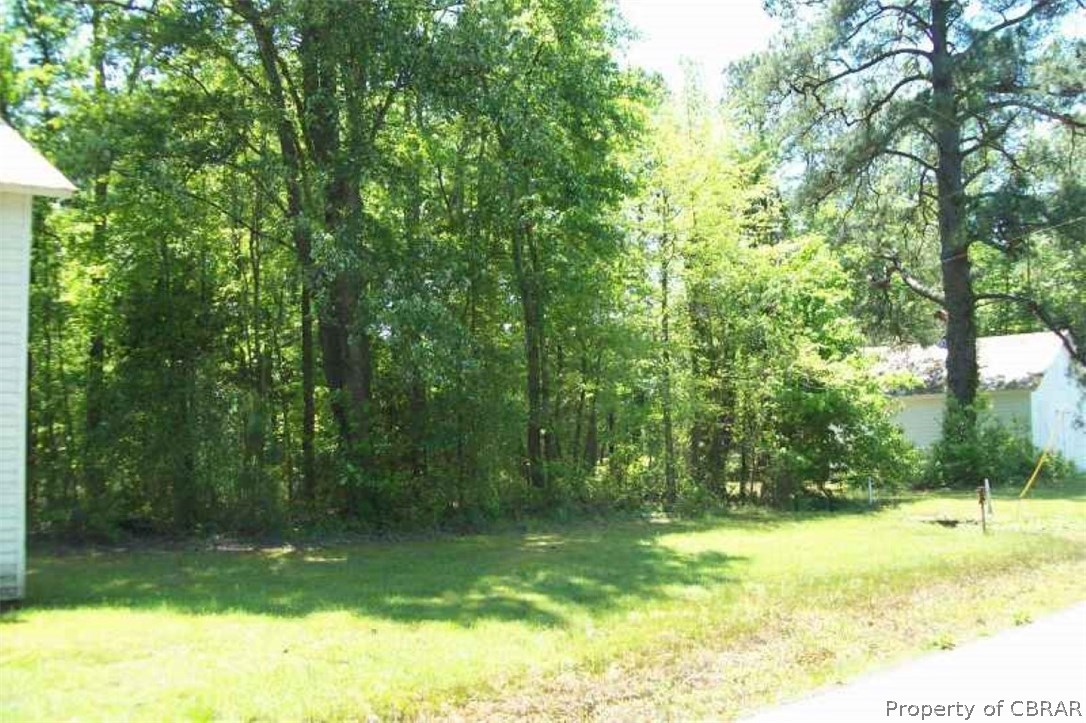 0 Beaverdam Road Port Haywood, VA 23138 - Photo 6 of 16