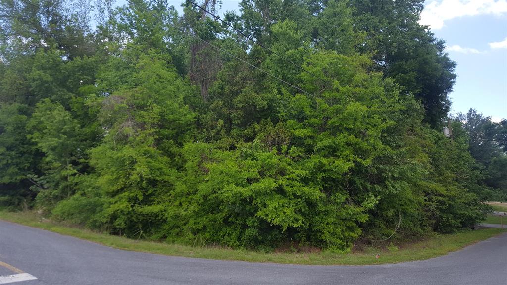 0 Pecan Course Pass Ocala, FL 34472 - Photo 1 of 1 RobertsCornerSS