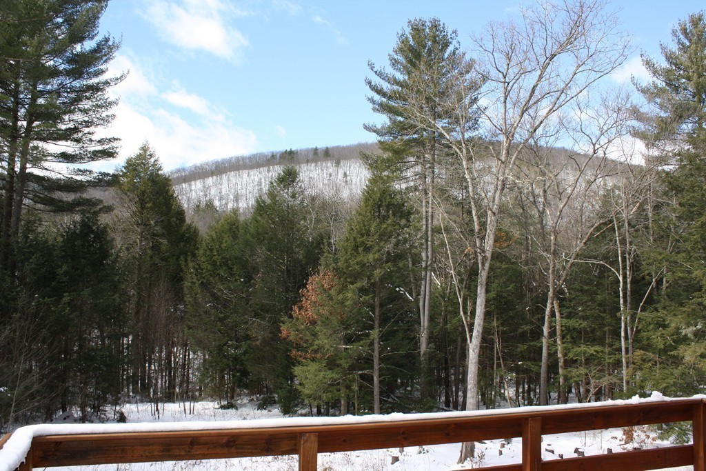 410 Long Plain Road Leverett, MA 01054 - Photo 17 of 17 Gallery Image 17