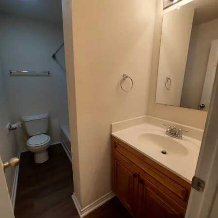 a bathroom with a sink and a toilet