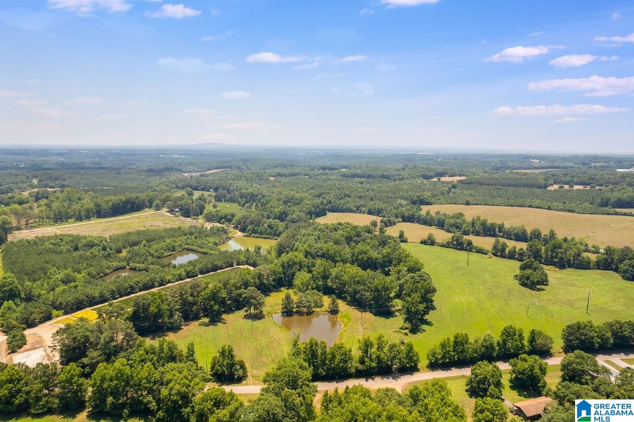 0 County Road 10, Unit X Ranburne, AL 36273 - Photo 2 of 32