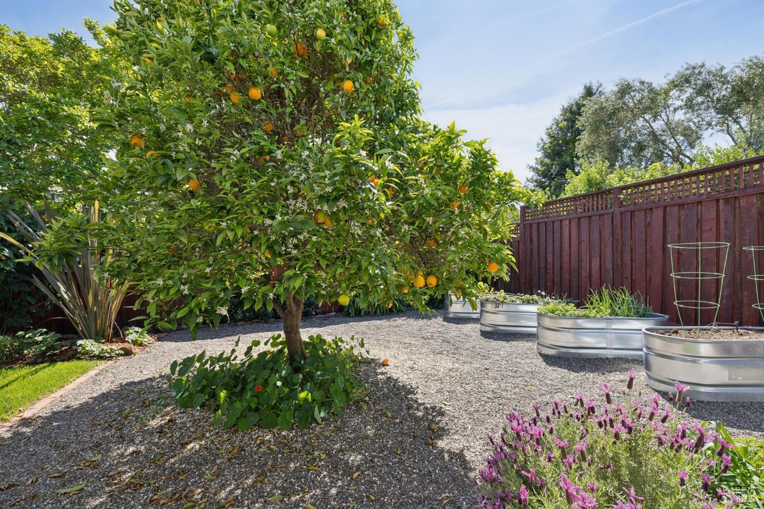 839 Greenberry Lane San Rafael, CA 94903 - Photo 30 of 57 a backyard of a house with lots of green space and fountain in the back