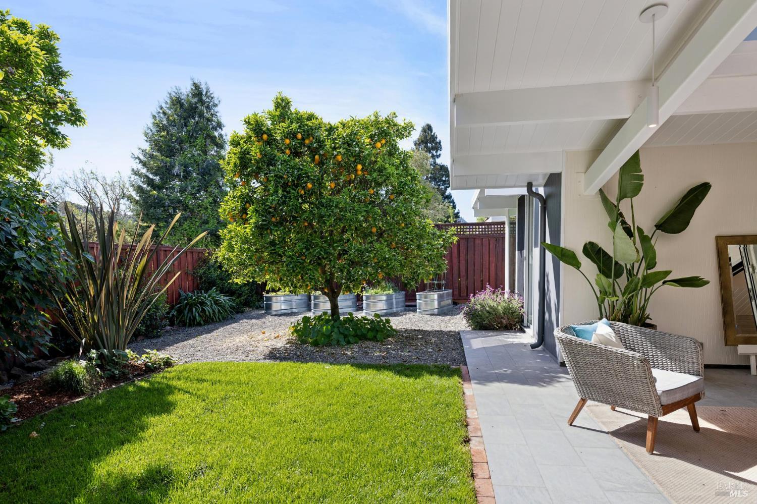 839 Greenberry Lane San Rafael, CA 94903 - Photo 32 of 57 a view of a backyard with plants and a patio