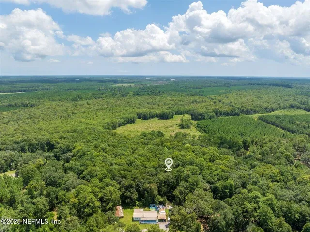 a view of a bunch of trees