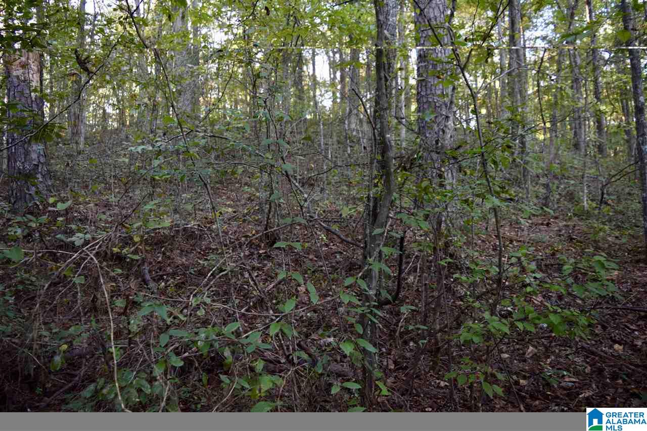 0 Mountain Lake Road, Unit LOT 7 Warrior, AL 35180 - Photo 3 of 11